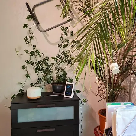 Apartment Paradise