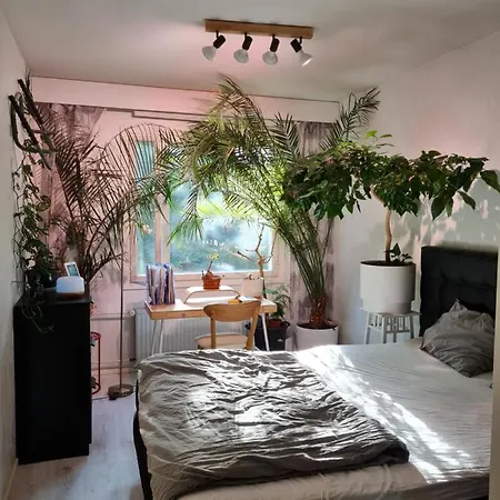 Paradise Apartment